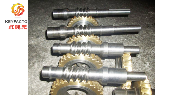 Gear and Gear Shaft